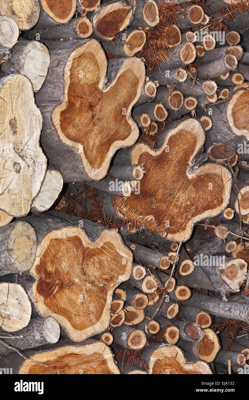 Firewood Stock Photo