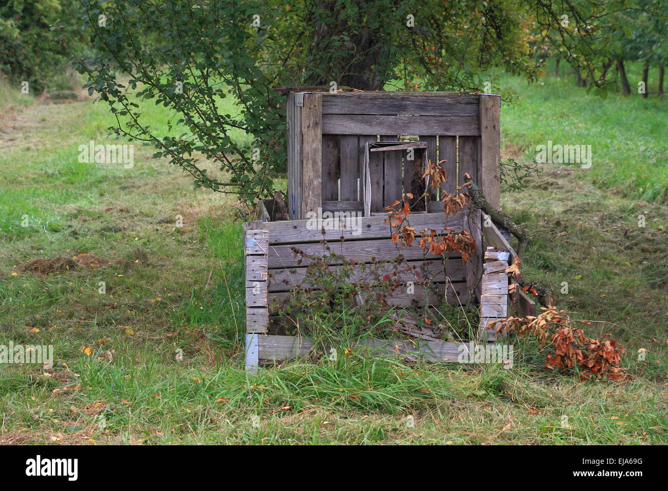 Fruit package on the fruit tree Stock Photo Alamy