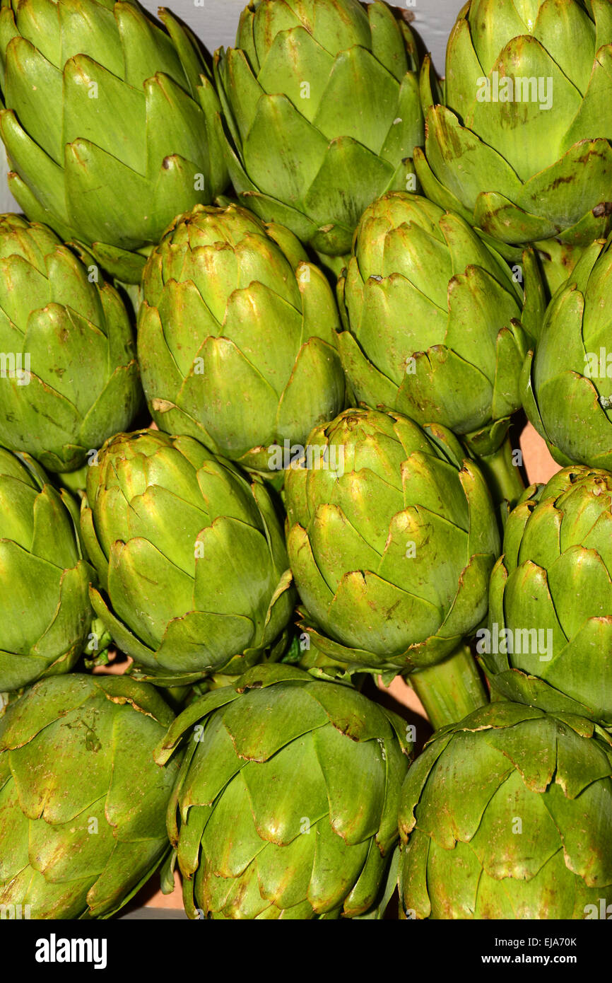 Artichoke hires stock photography and images Alamy