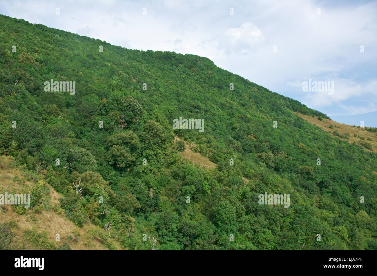 Caucasus Mountains in summer Stock Photo