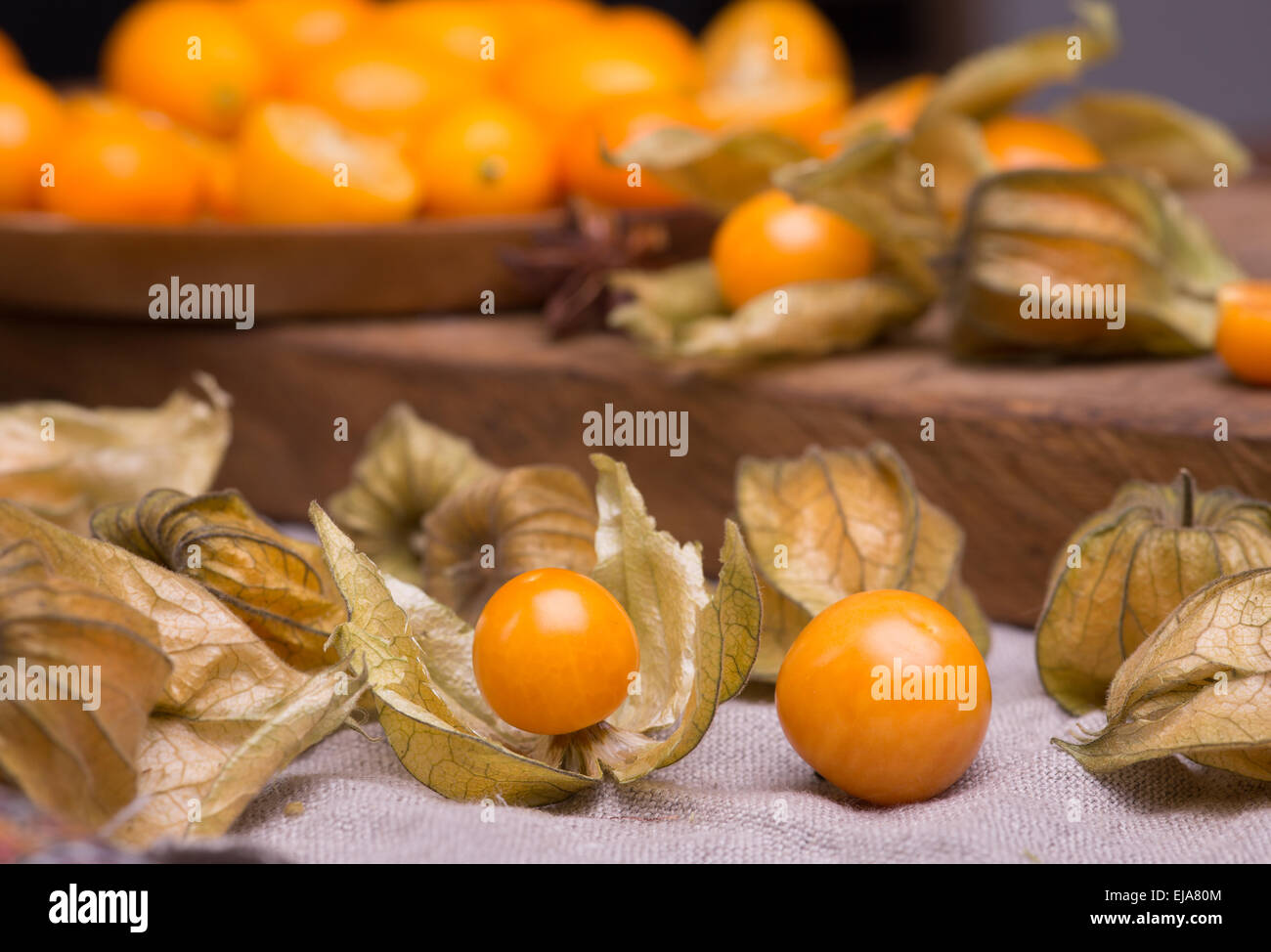 physalis and kumquat Stock Photo Alamy
