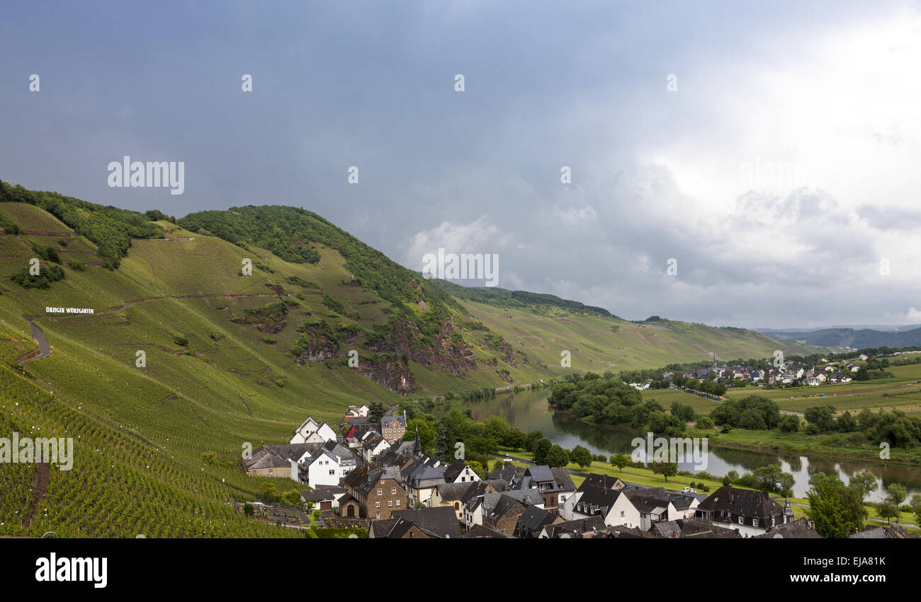 Look at Ürzig on the Mosel Stock Photo