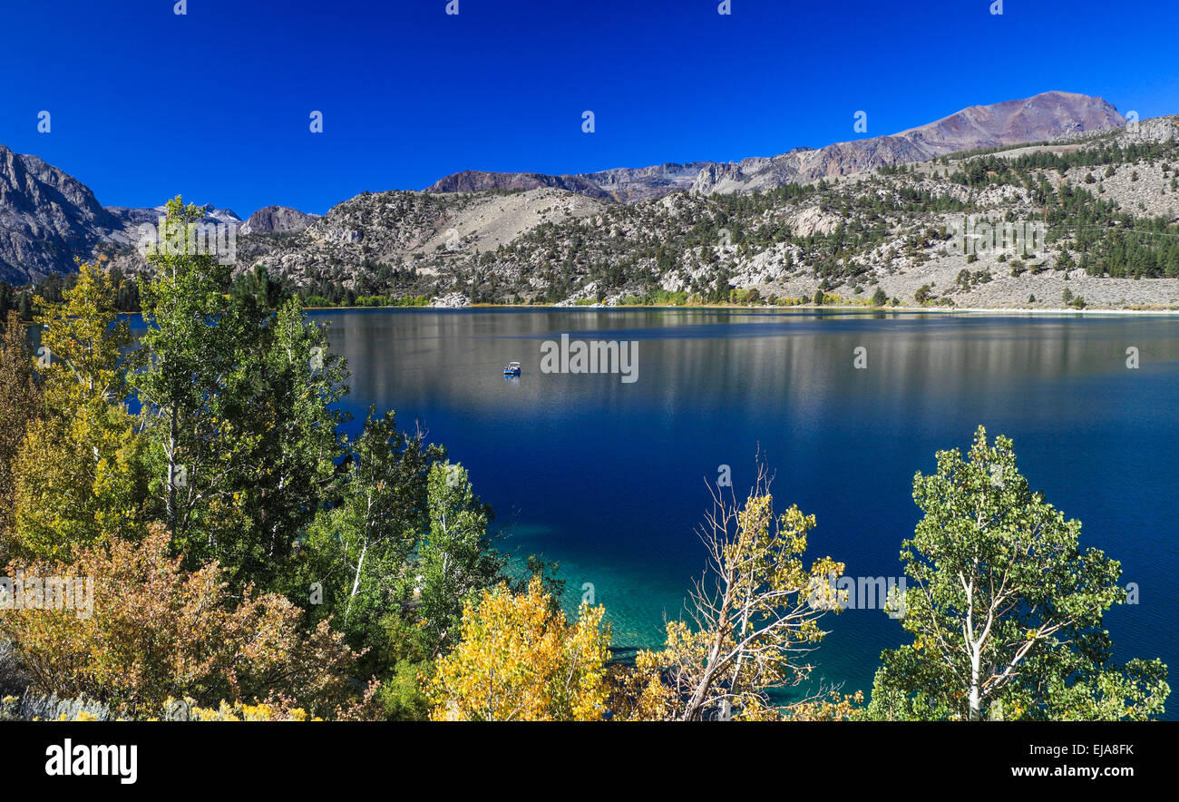 Autumn leaves by June Lake in the Eastern Sierra in Northern California Stock Photo