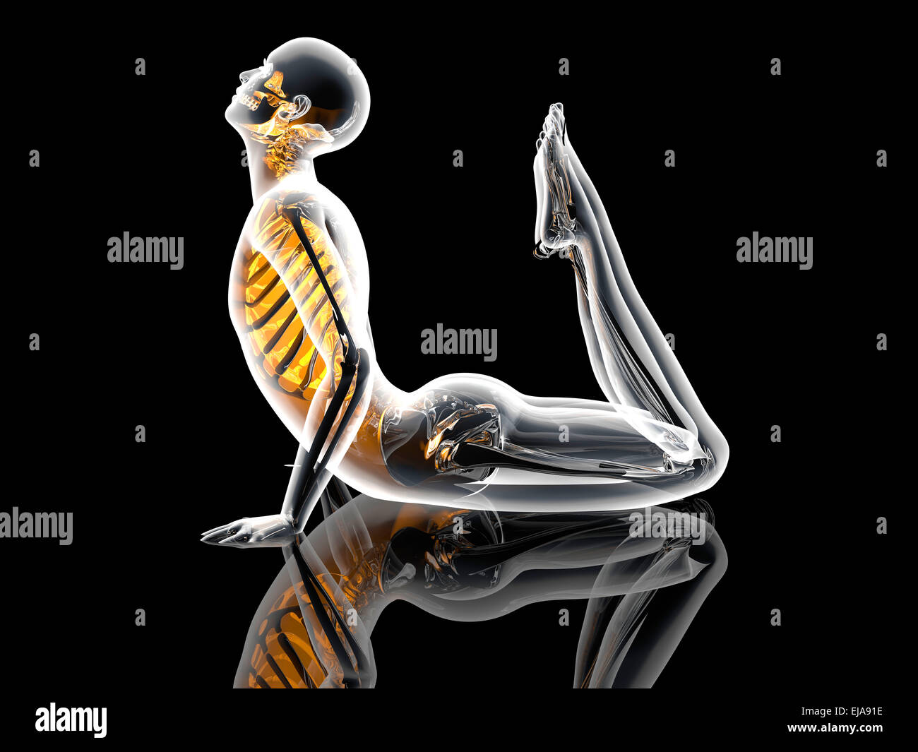 Yoga Pose - King Cobra Stock Photo - Alamy