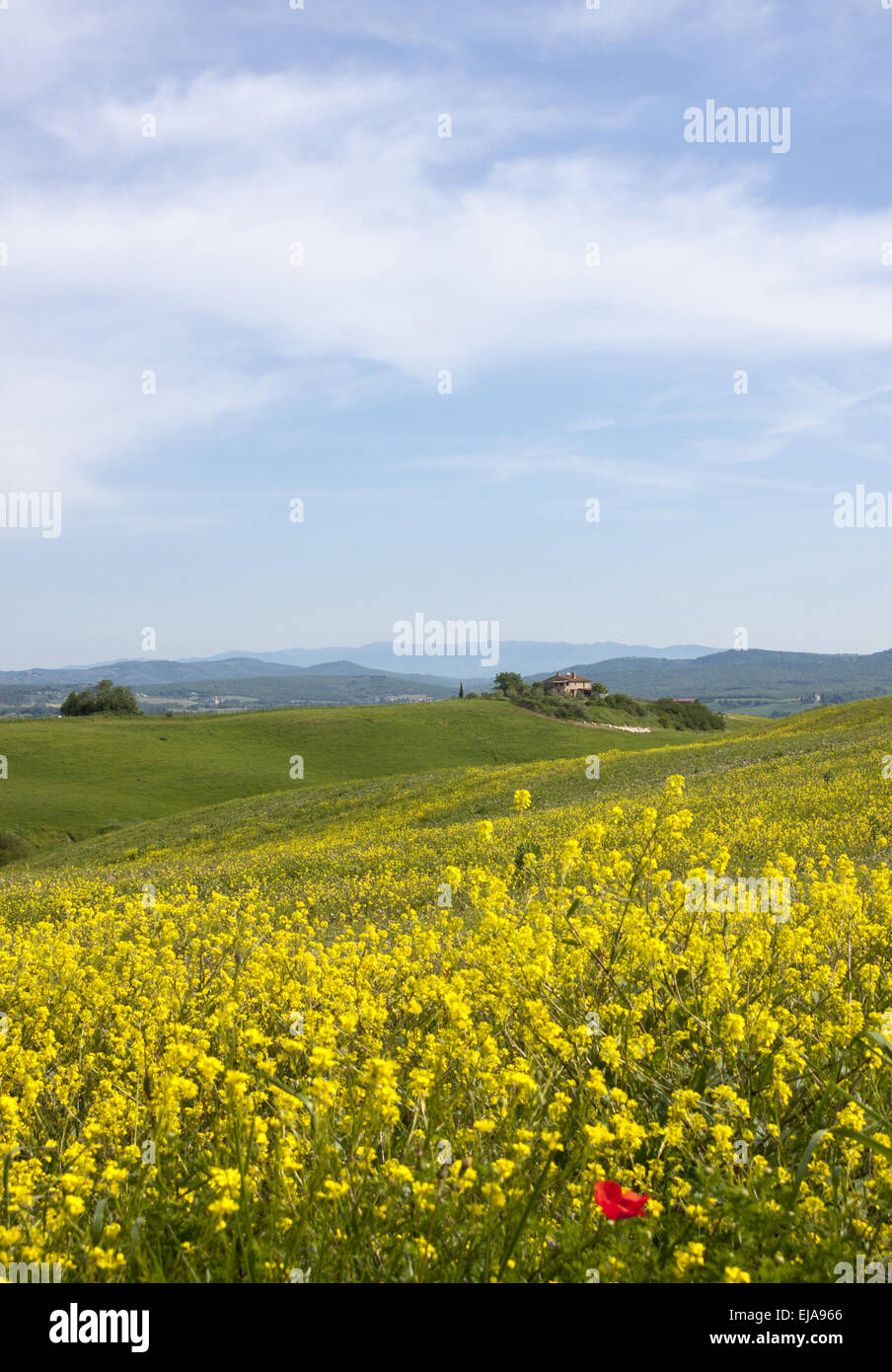 Tuscany in Spring Stock Photo