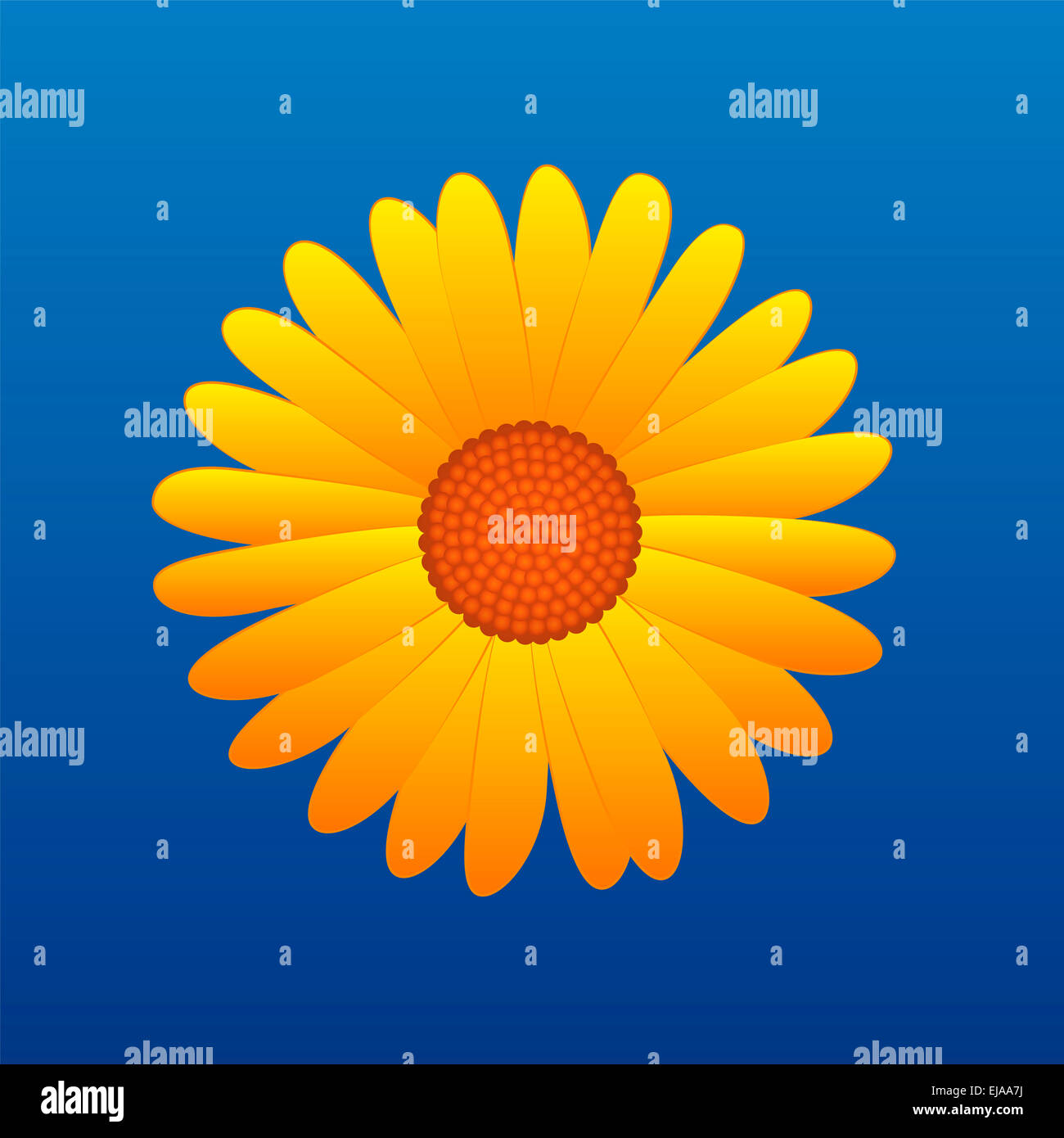 Yellow aster on blue sky background. Stock Photo