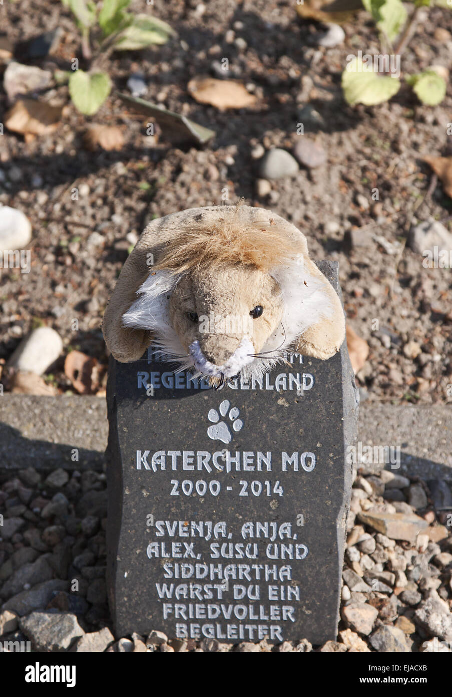 Cats grave Stock Photo