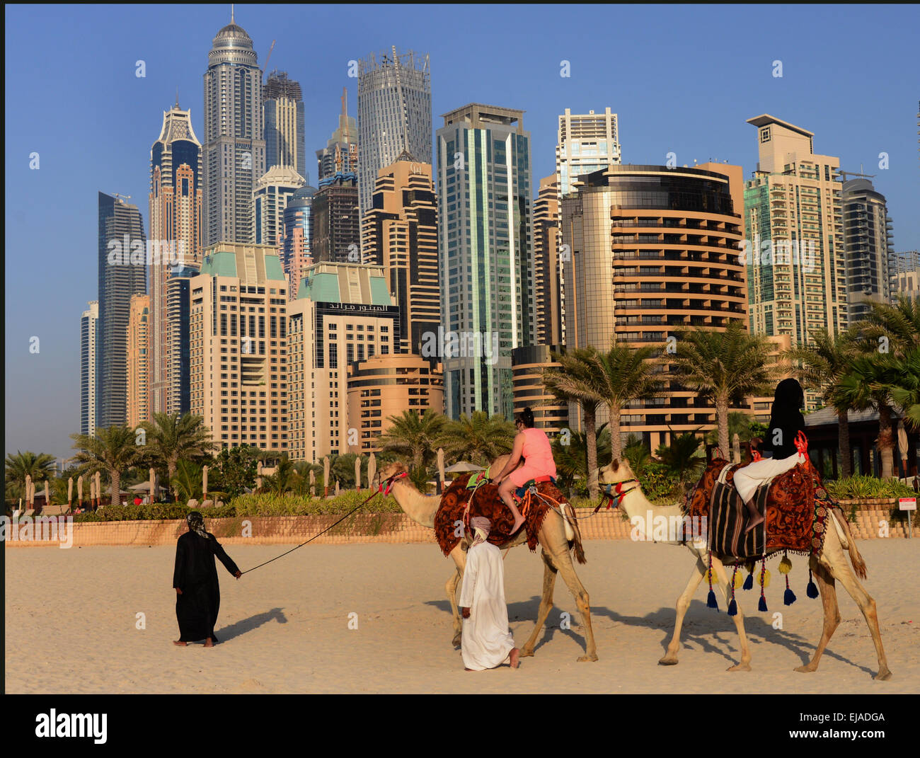 camel ride in dubai Stock Photo