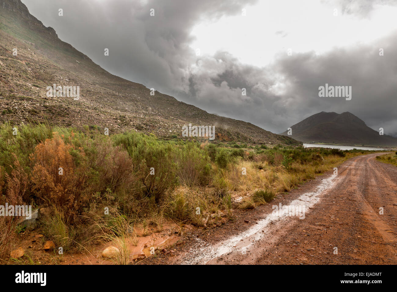 Western Cape Landscapes Stock Photo