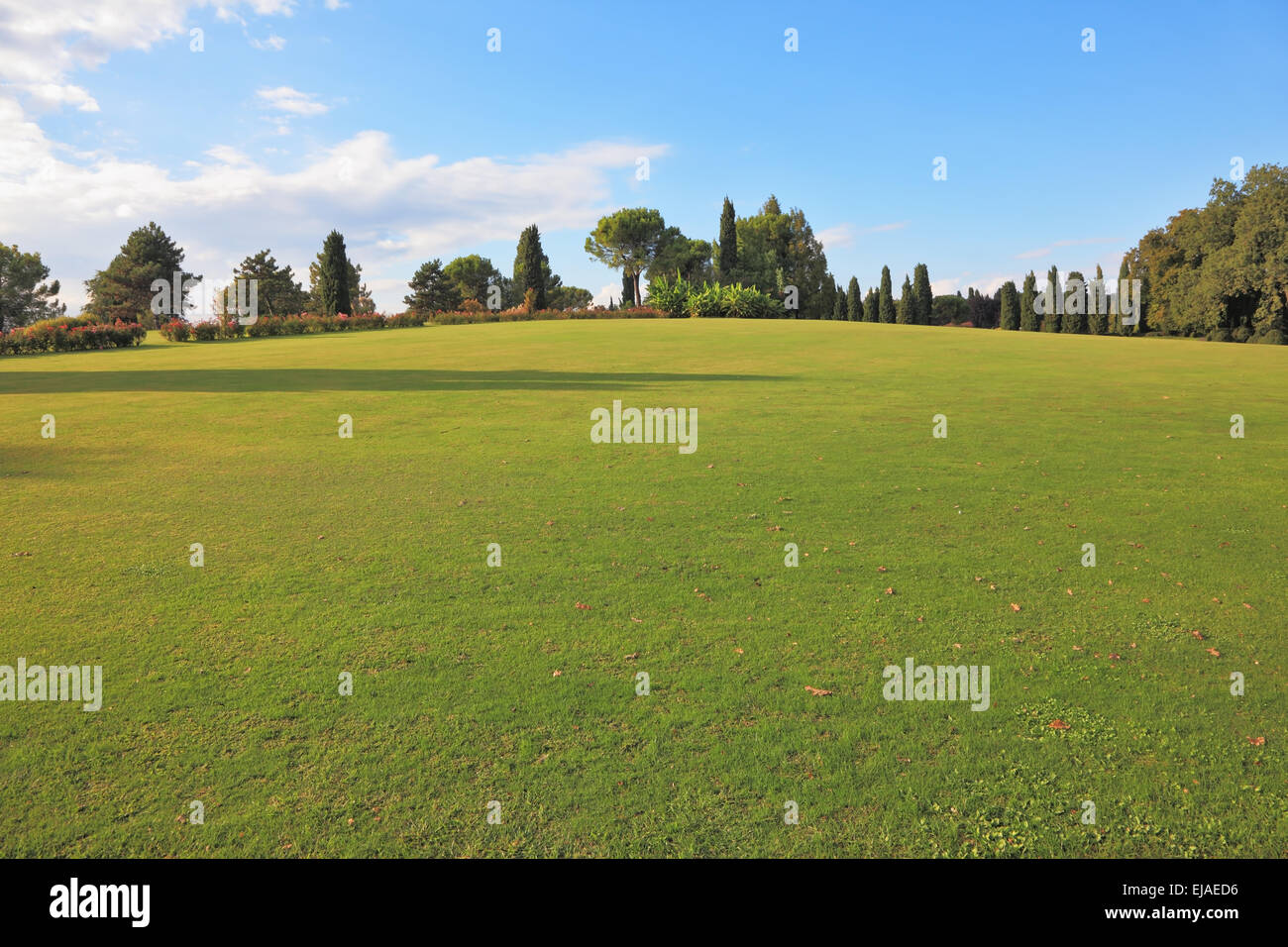 A lovely green lawn grass in a park Stock Photo - Alamy