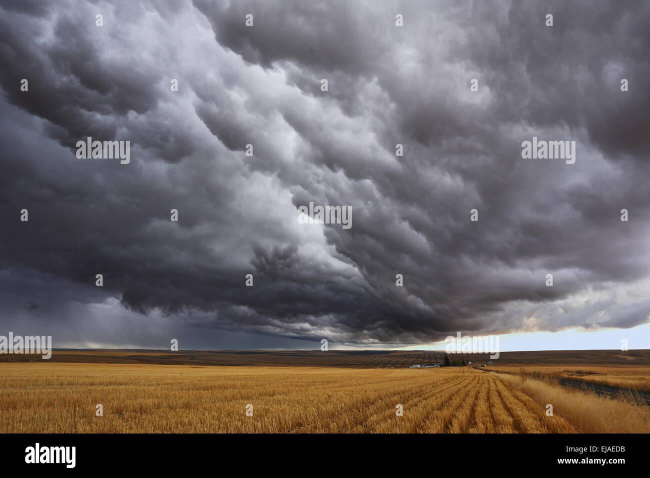 Thunderstorm above fields after harvesting. Stock Photo