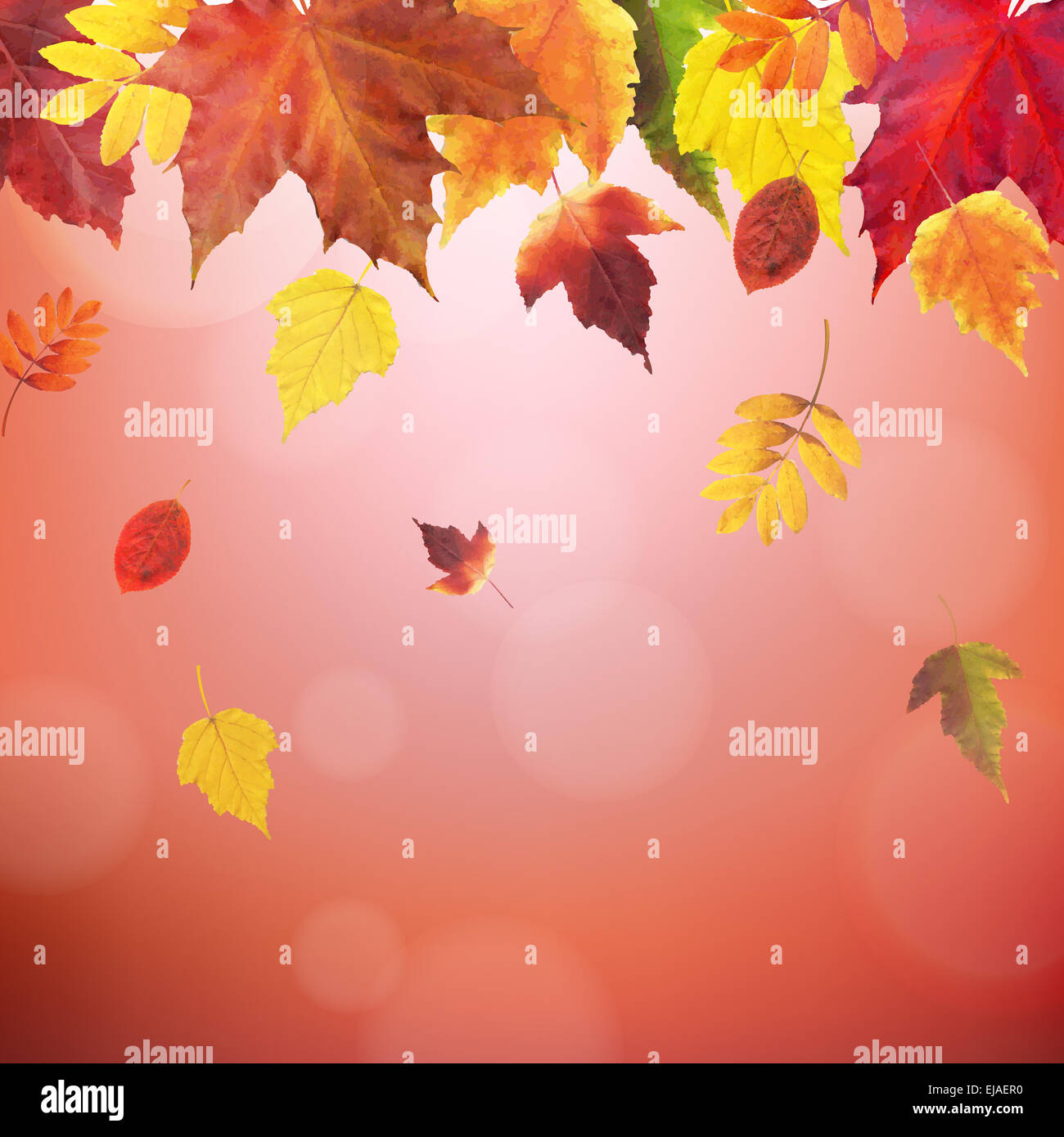 Autumn Red Vintage Border Stock Photo - Alamy