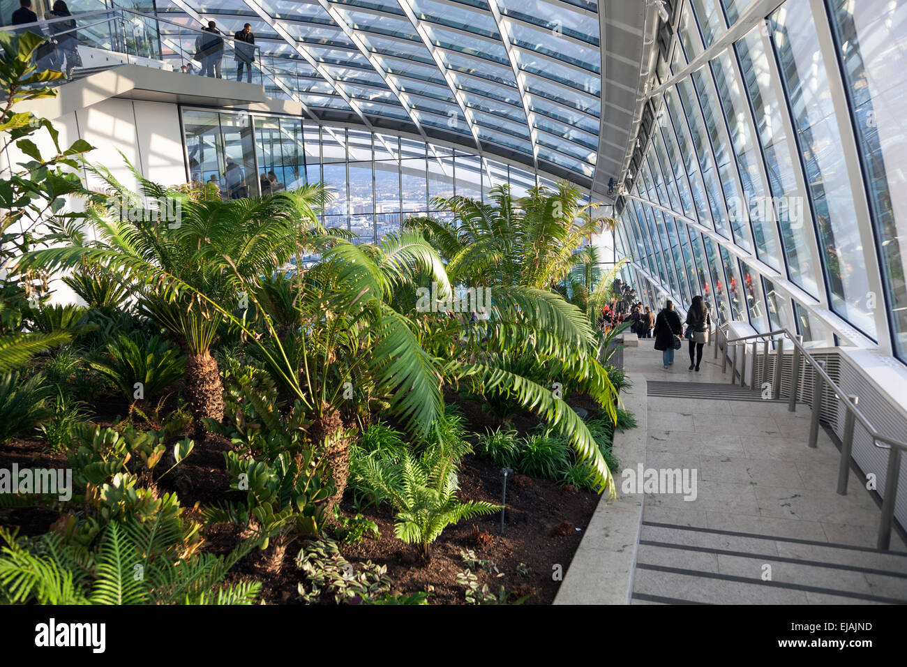 Sky Garden at the top of 20 Fenchurch Street (Walkie Talkie) in London, England Stock Photo