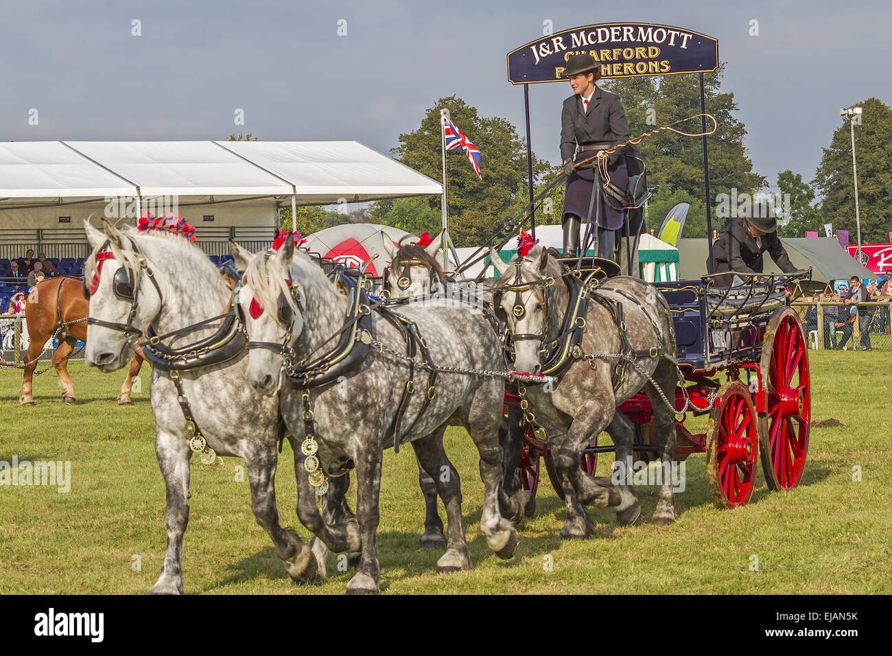 Horses Pulling Cart Berkshire UK Stock Photo Alamy
