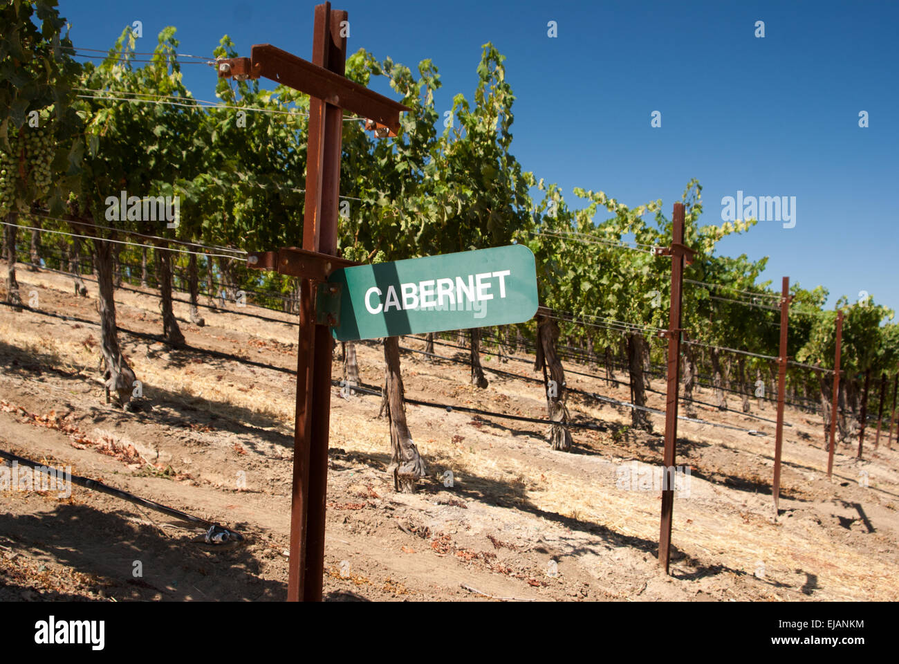 Cabernet grape sign Stock Photo - Alamy