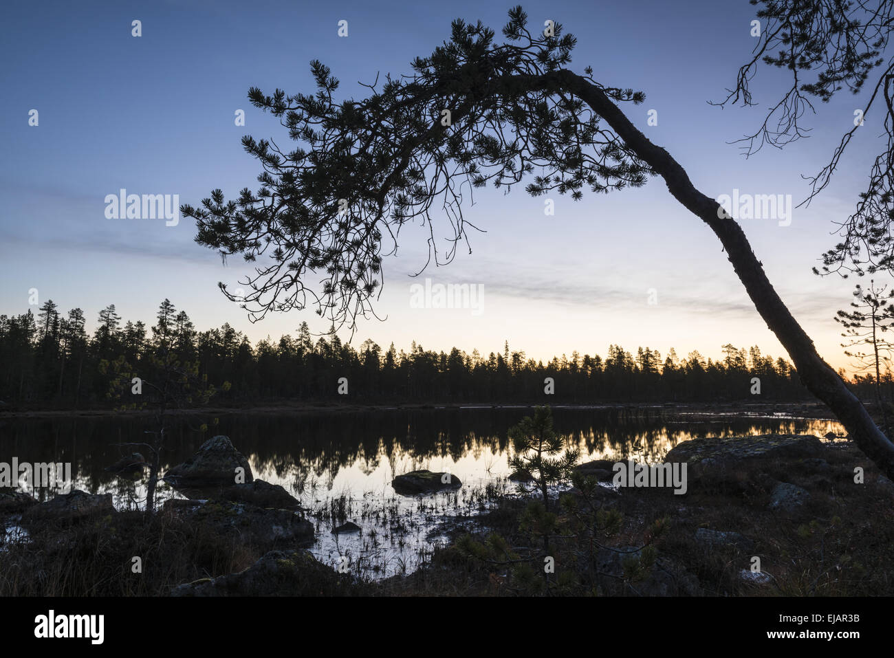 dawn beside a forest lake, Lapland, Sweden Stock Photo