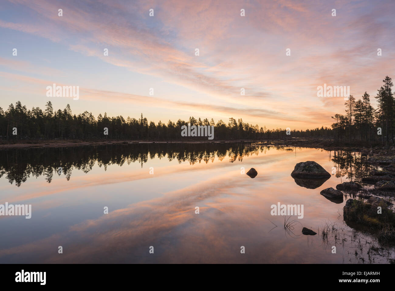 forest lake in dawn, Lapland, Sweden Stock Photo