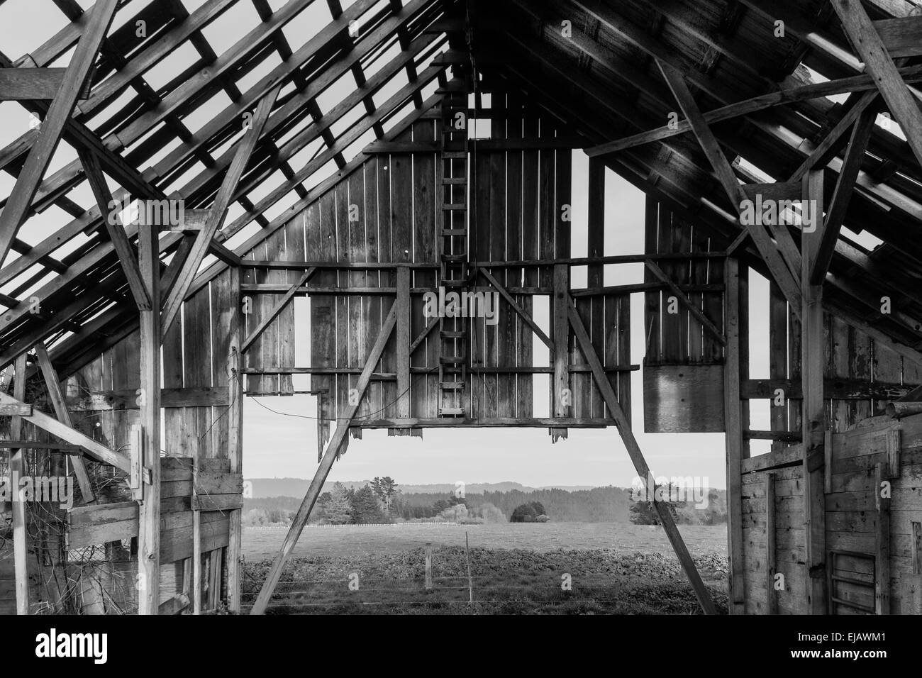 Inside Barn Photography