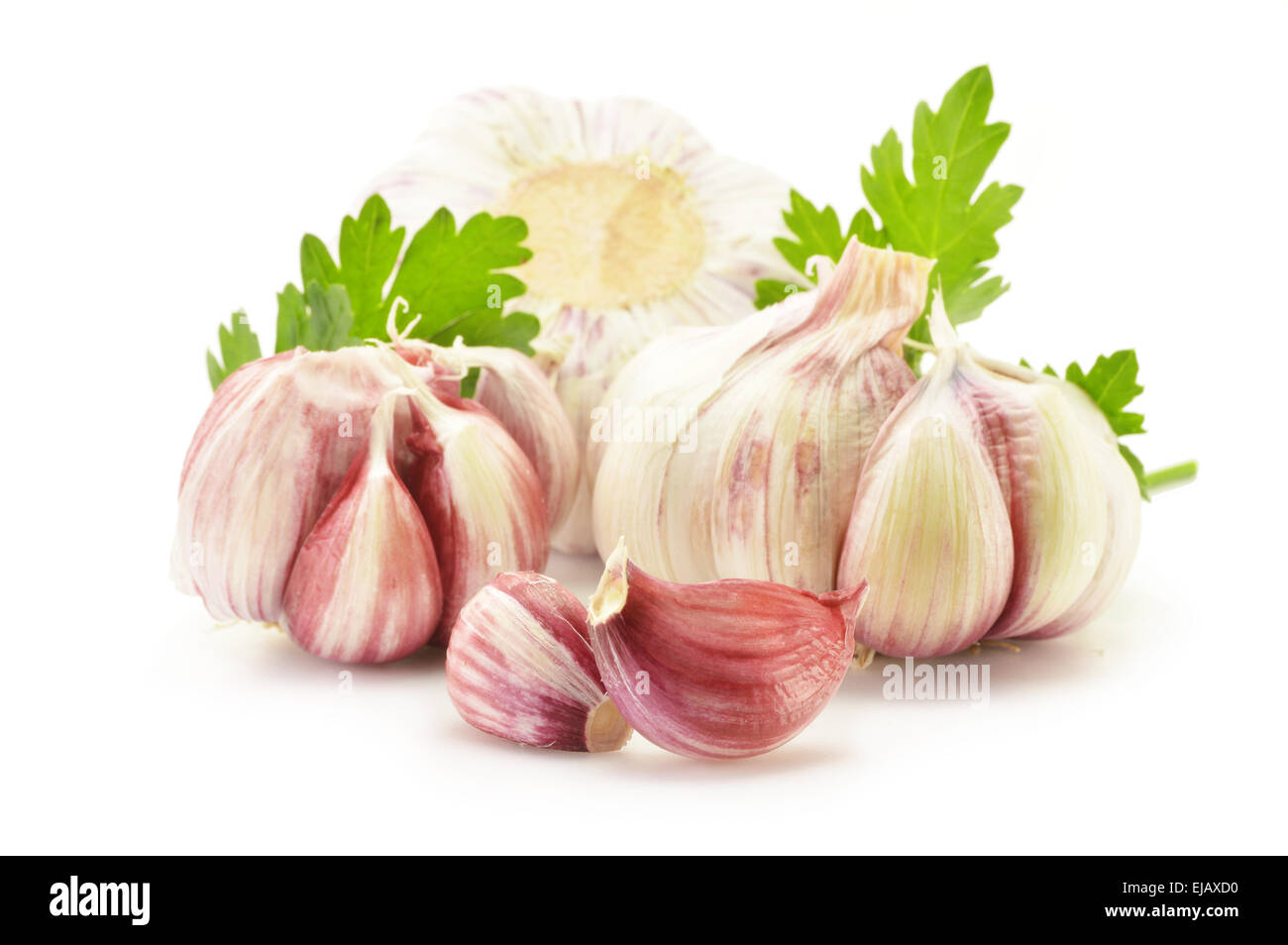 Fresh garlic with parsley isolated on white Stock Photo - Alamy