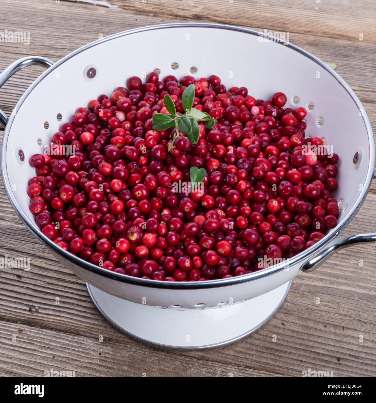 cranberries in a colander Stock Photo Alamy