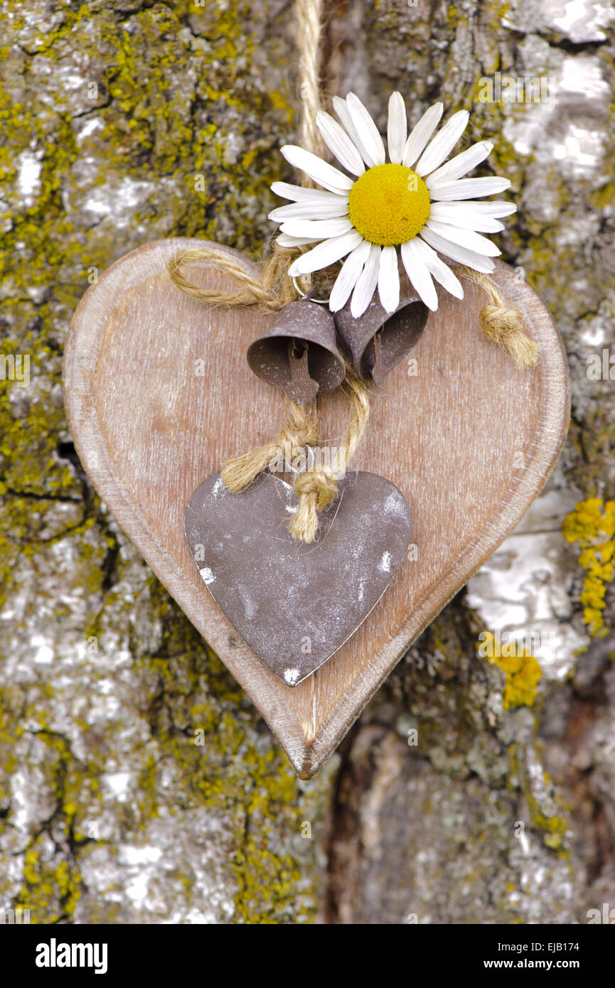 heart on tree bark Stock Photo