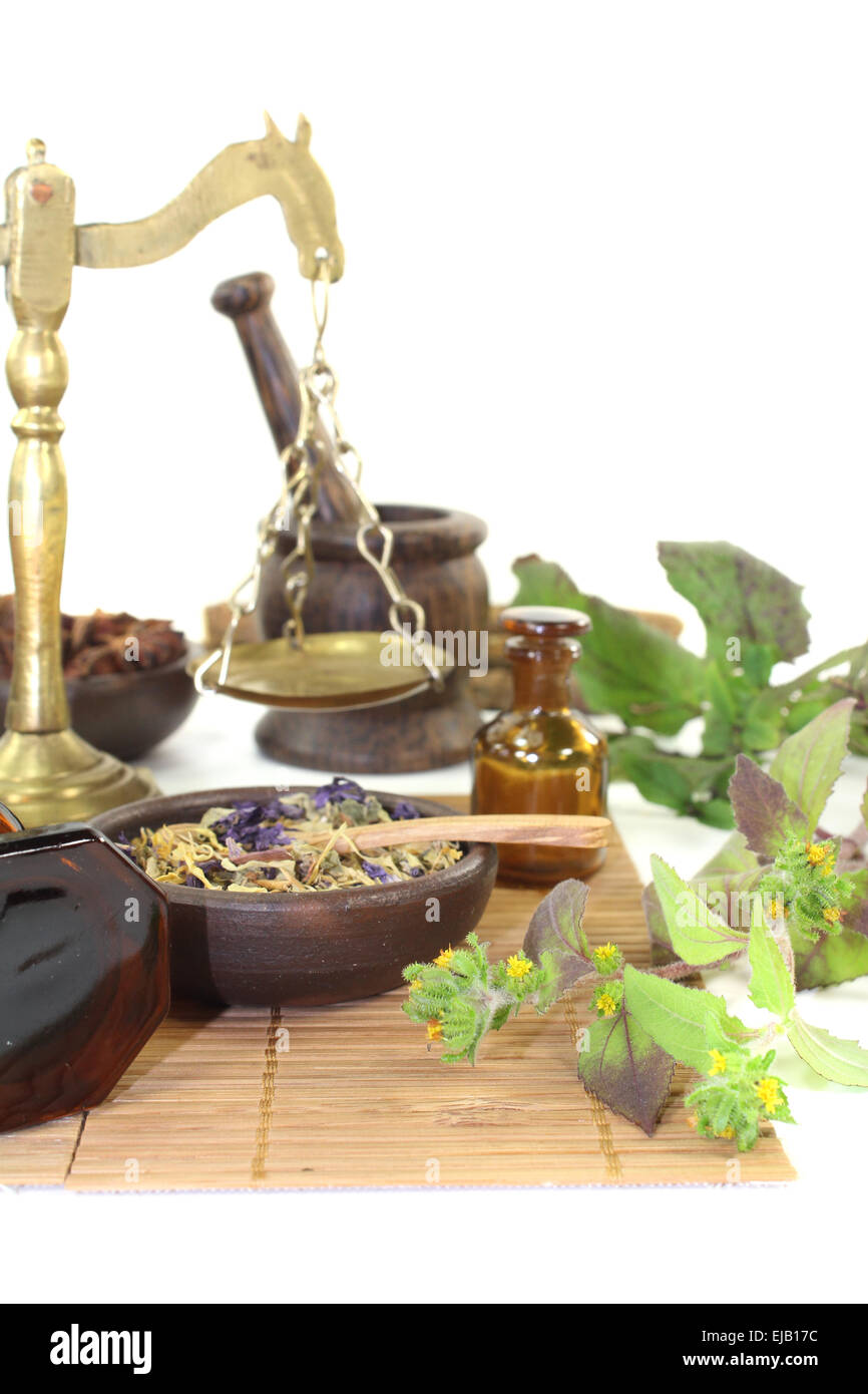 Chinese natural medicine with plants Stock Photo