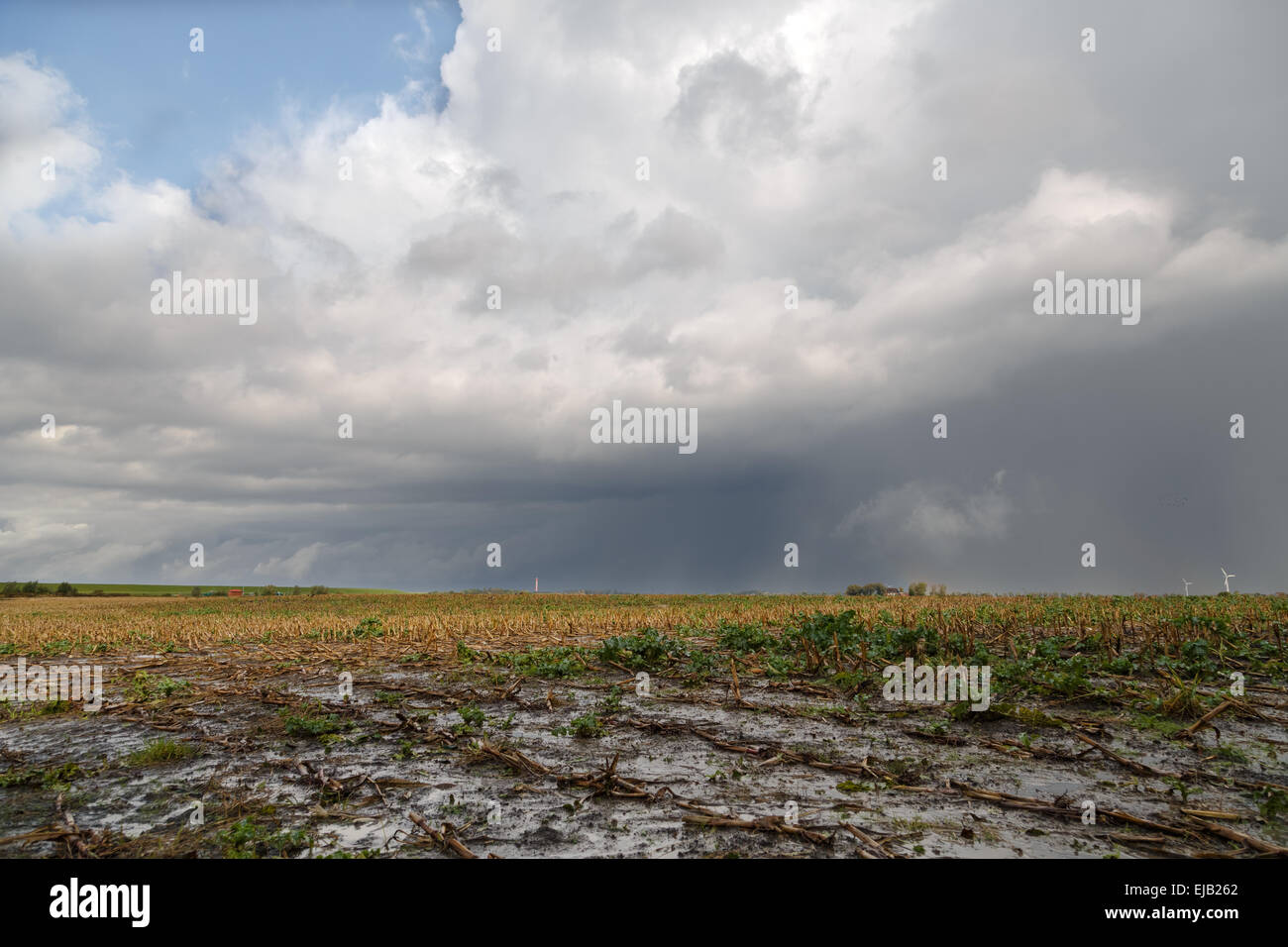 Weekly Highlights October 6th to 12th - WeatherMadness Weekly Highlights October 6th to 12th - WeatherMadness