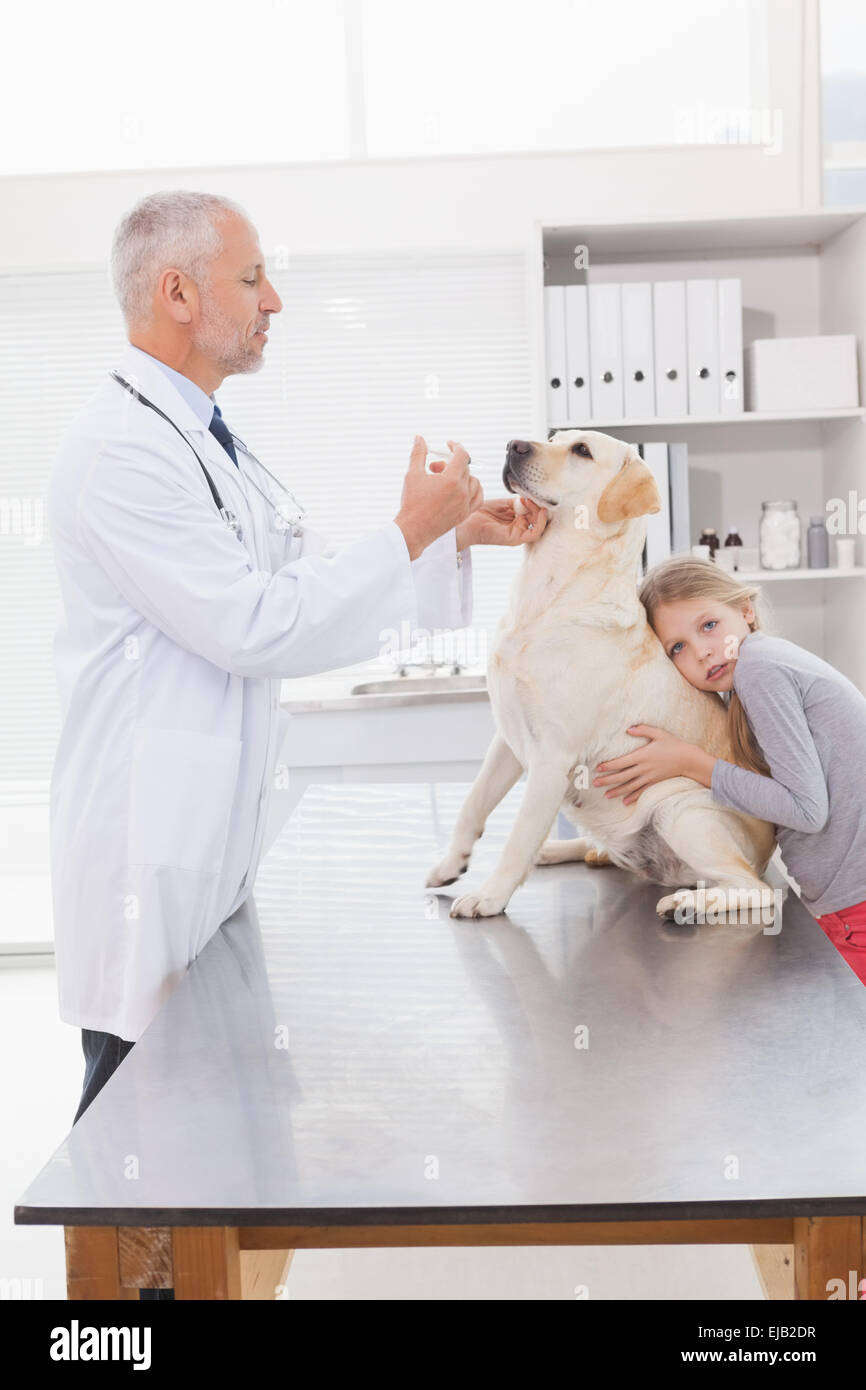 Vet examining a dog with its anxious owner Stock Photo - Alamy