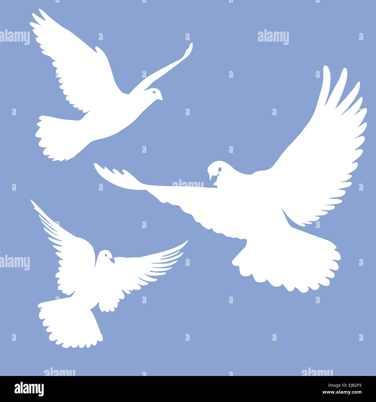 flying white doves Stock Photo