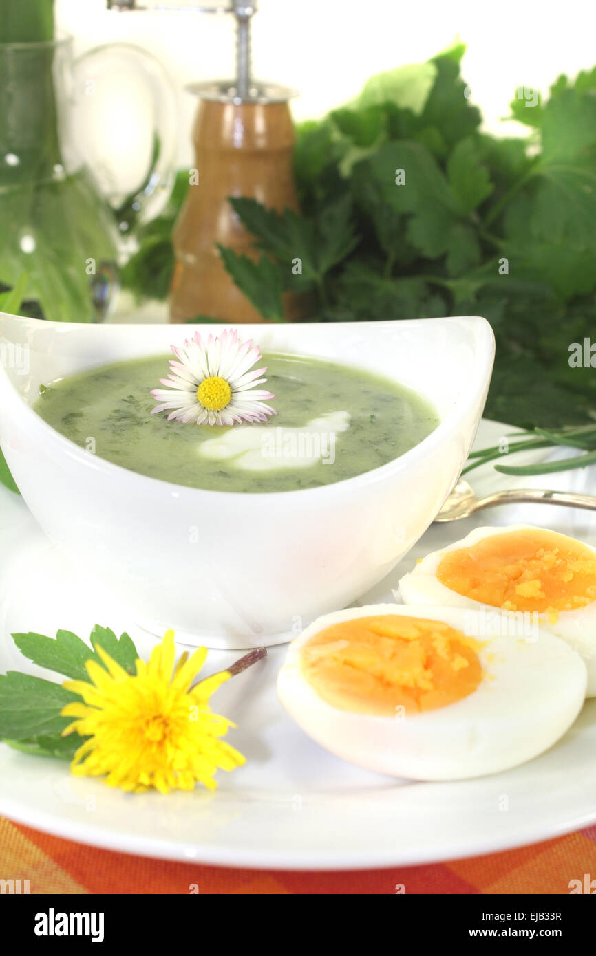 green herbs soup with a dollop of cream Stock Photo
