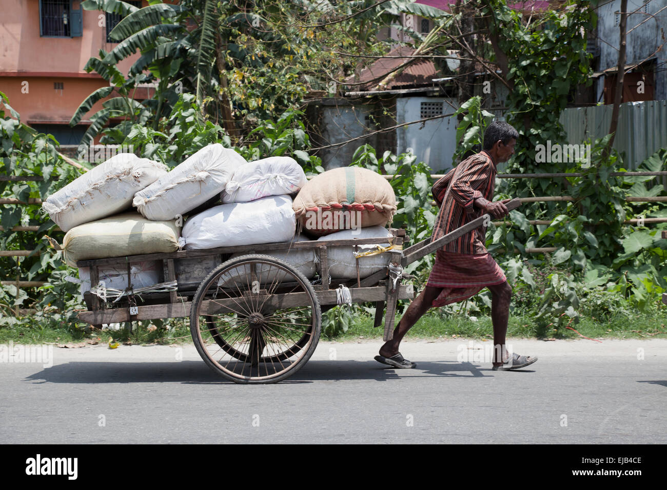 Laborer struggles with heavy load Cooch Behar,  West Bengal, India Stock Photo