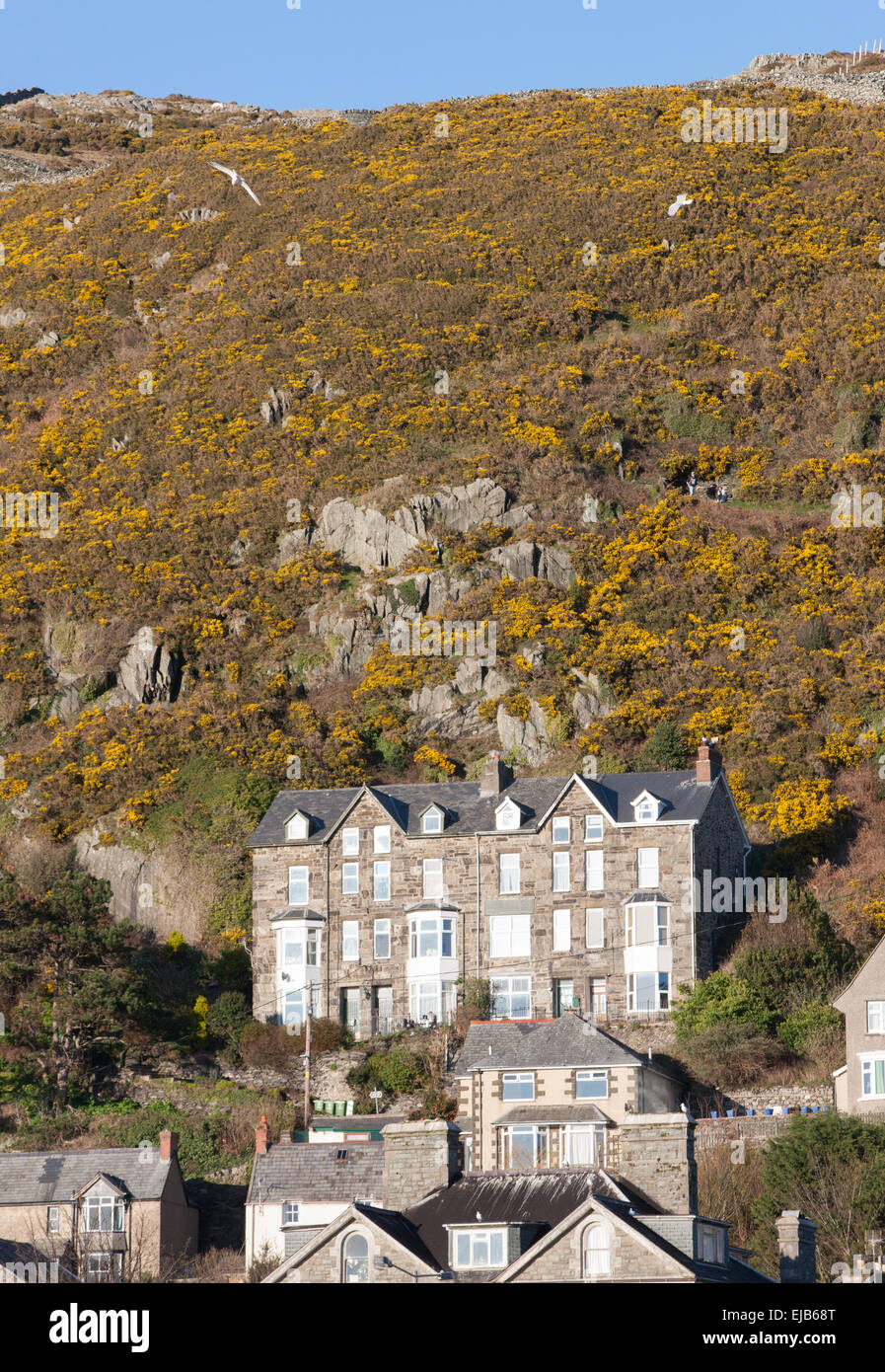 Barmouth wales houses hires stock photography and images Alamy
