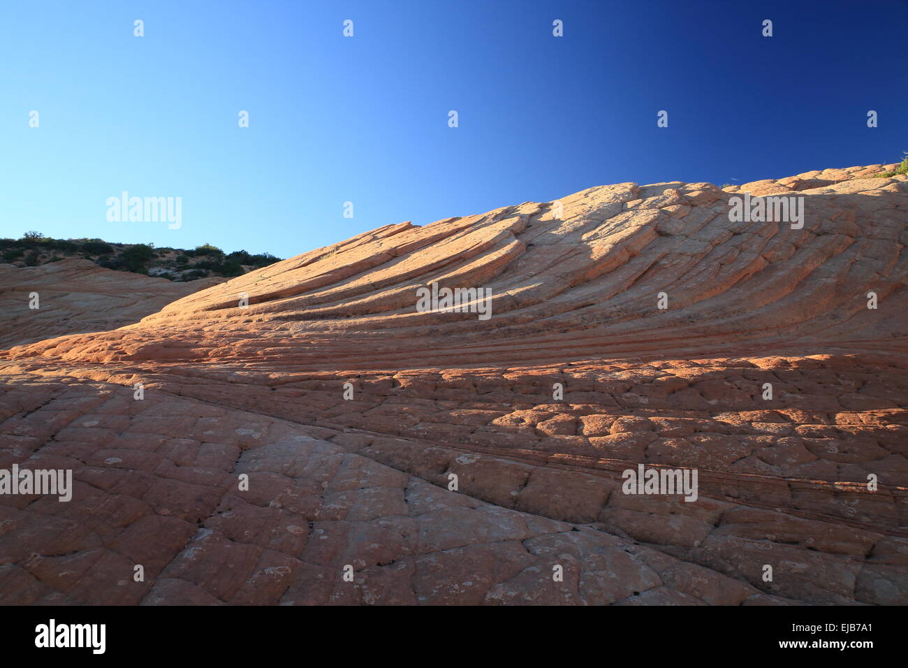 Yant Flat Candy Cliffs Utah Stock Photo Alamy