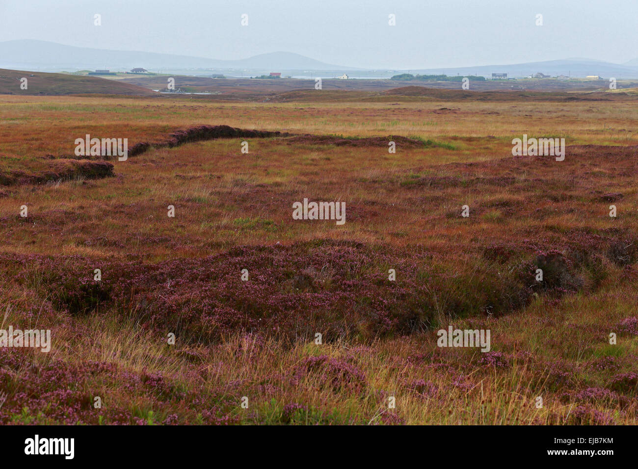 Peat bog, Benbecula, Outer Hebrides, Scotland Stock Photo Alamy