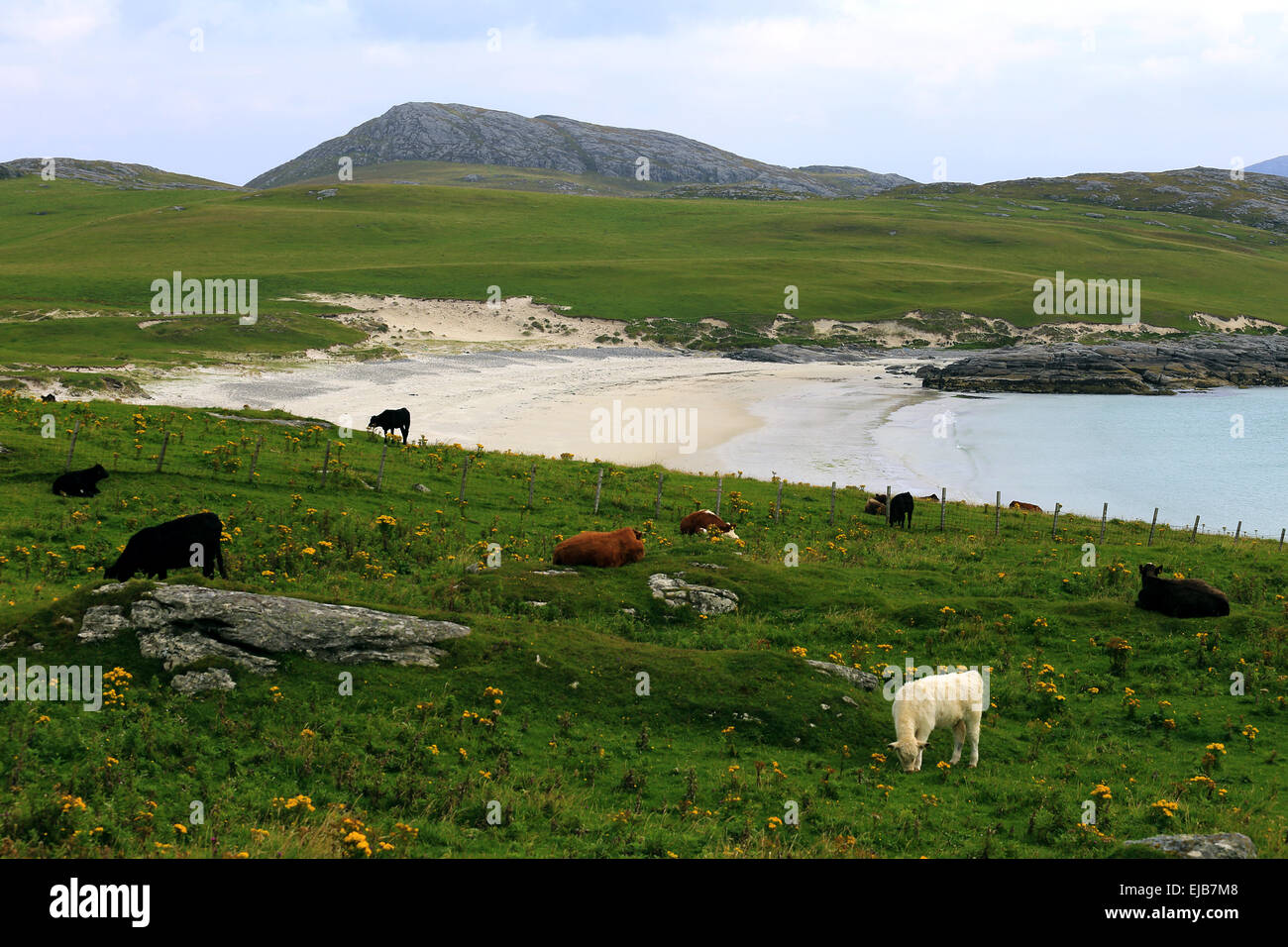 Vatersay, Outer Hebrides, Scotland Stock Photo