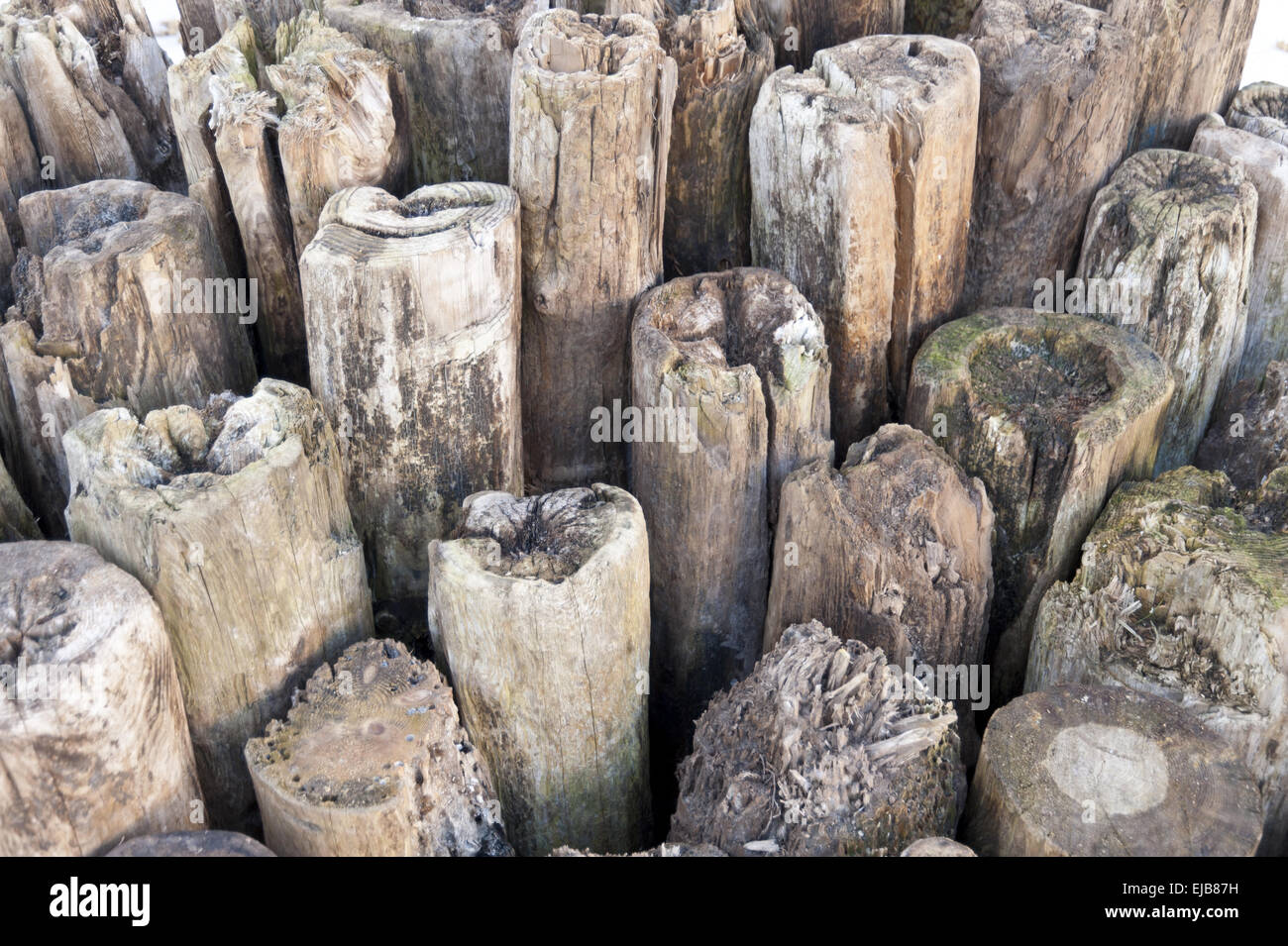 Verwitterte Holzpfähle Stock Photo - Alamy