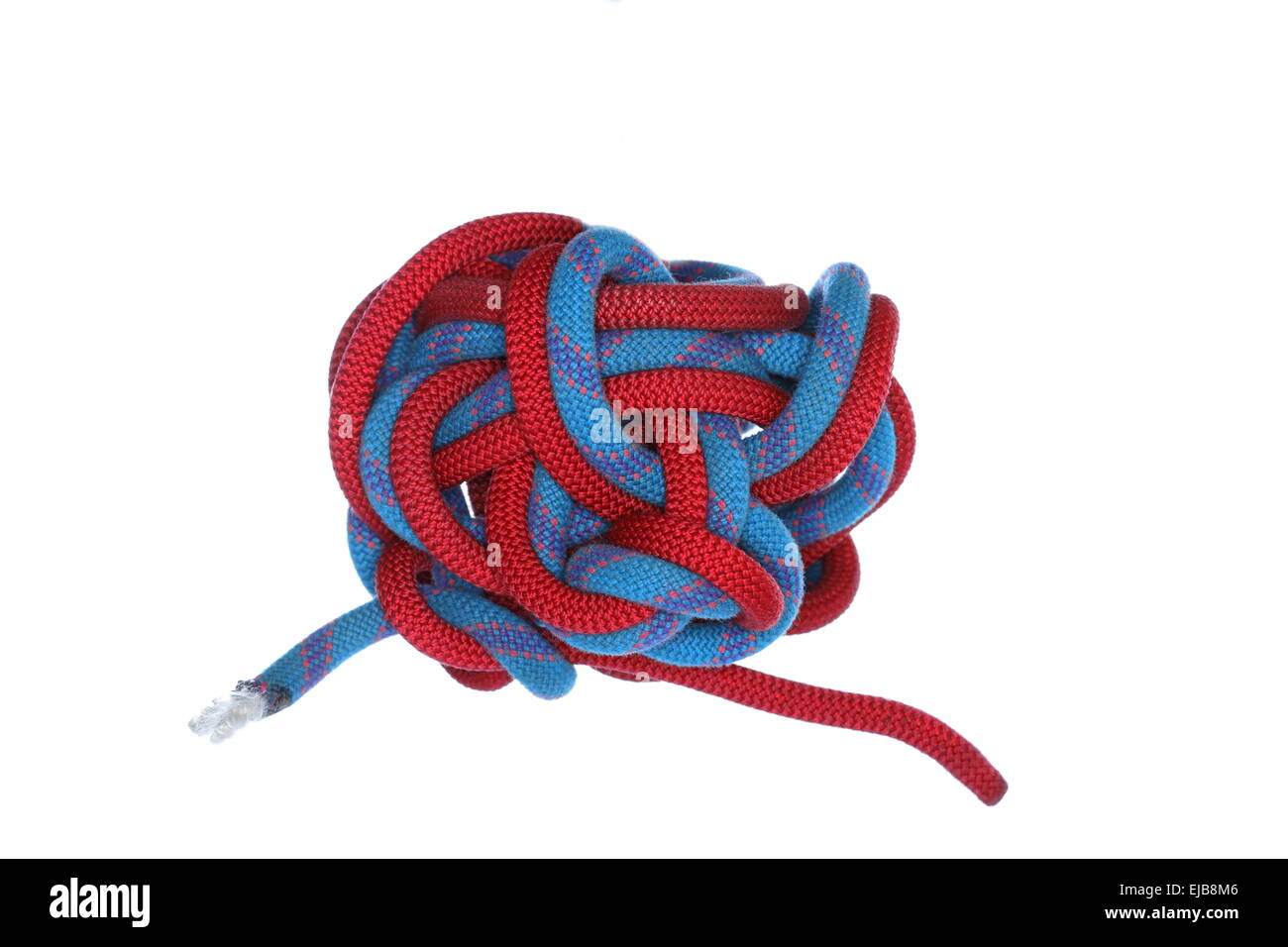 big knot Stock Photo