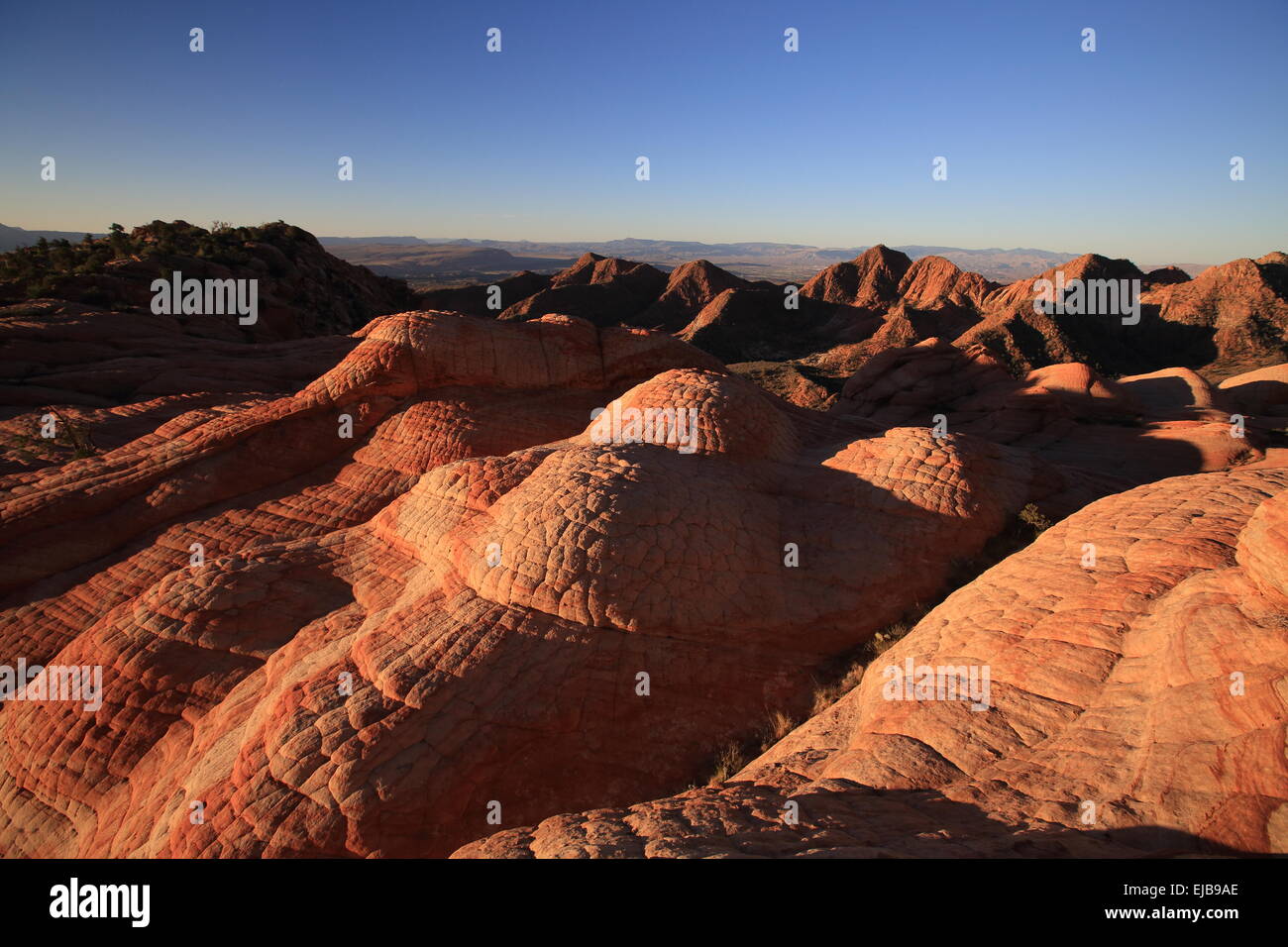 Yant Flat - Candy Cliffs Utah Stock Photo - Alamy
