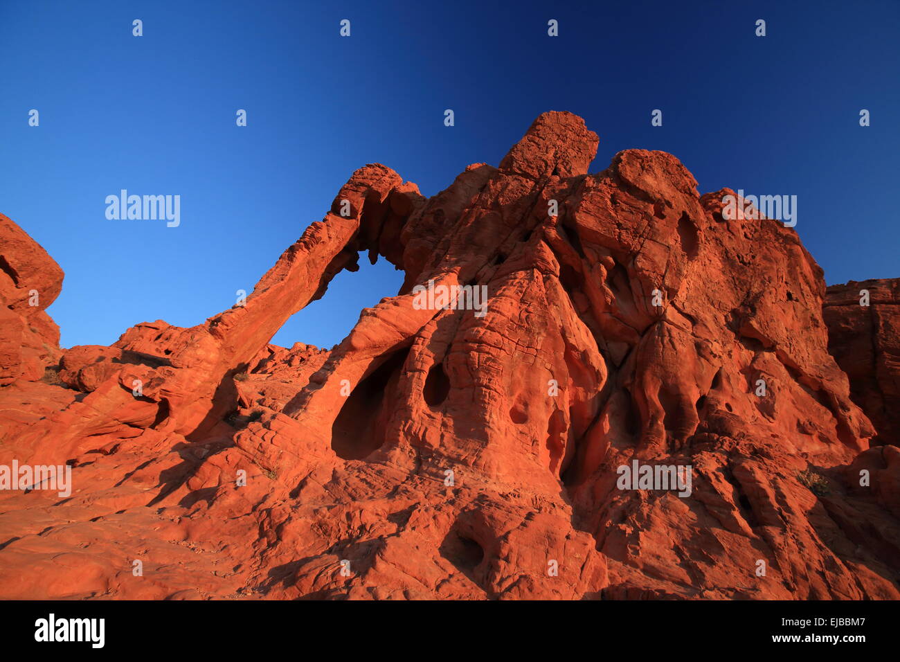 Elephant Rock Valley of Fire Nevada Stock Photo
