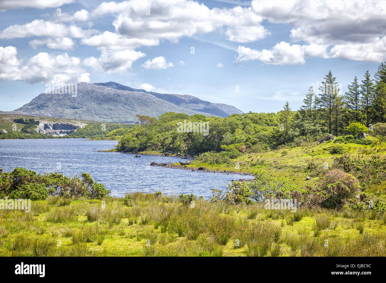 Lough Corrib Ireland Stock Photo Alamy