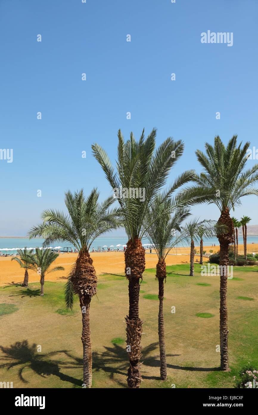 Medical backgrounds hires stock photography and images Alamy