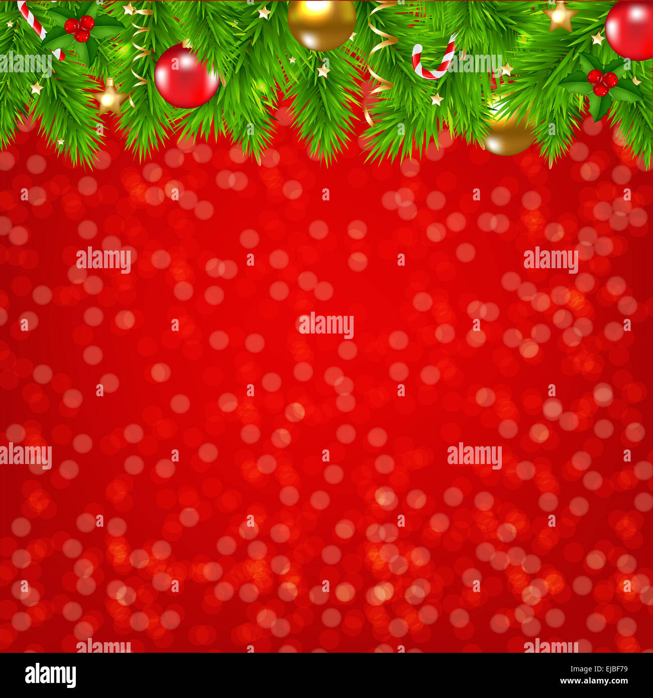 Fir Tree Frame Stock Photo - Alamy