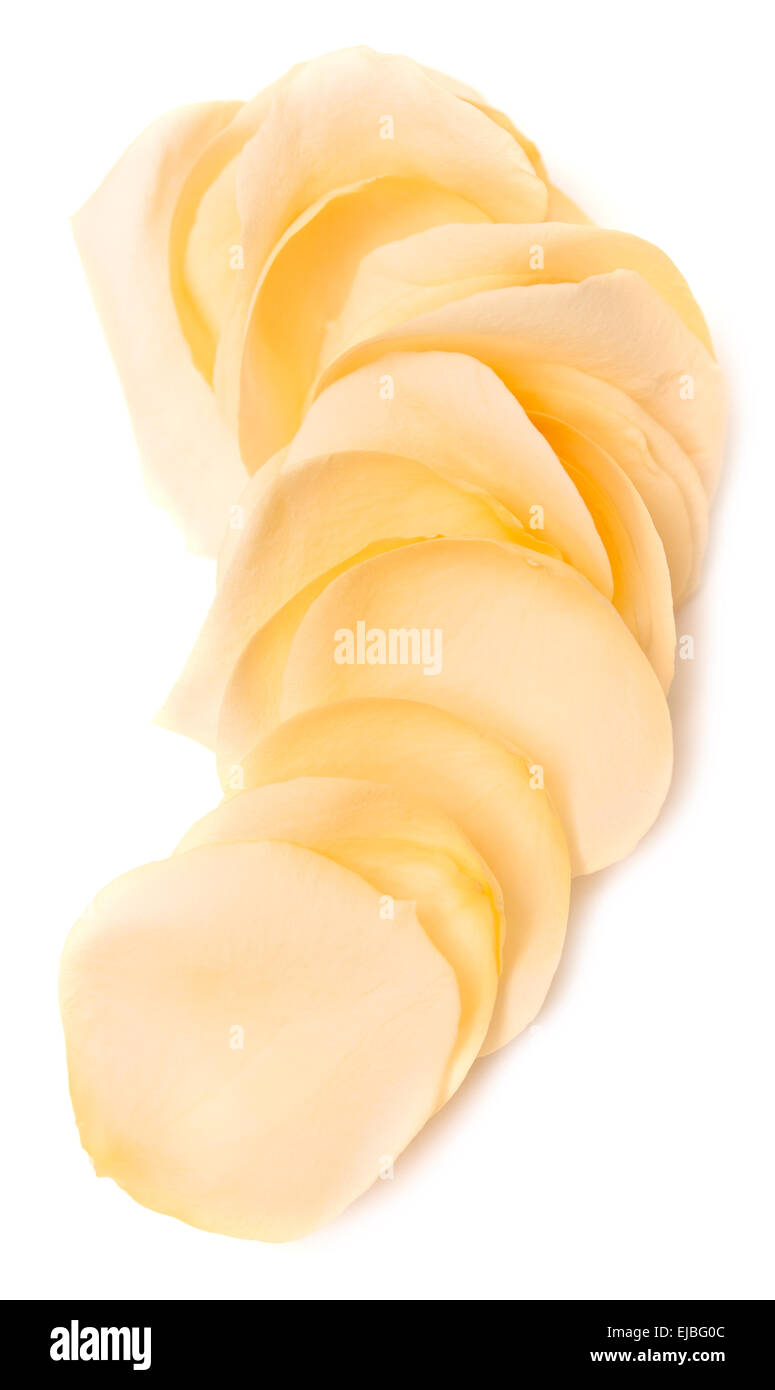 Studio style border hi-res stock photography and images - Alamy