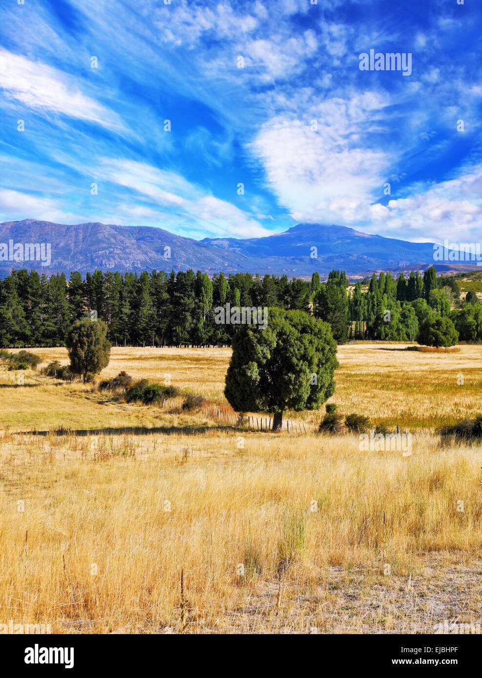 Green trees on the horizon hi-res stock photography and images - Alamy