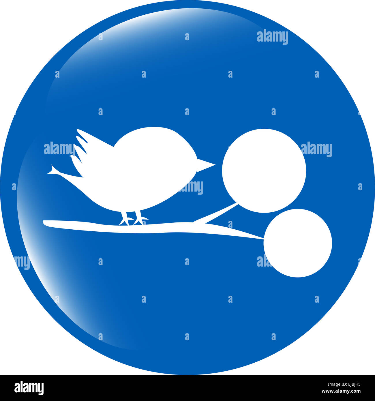 Bird glossy web icons, app button isolated on white background Stock ...