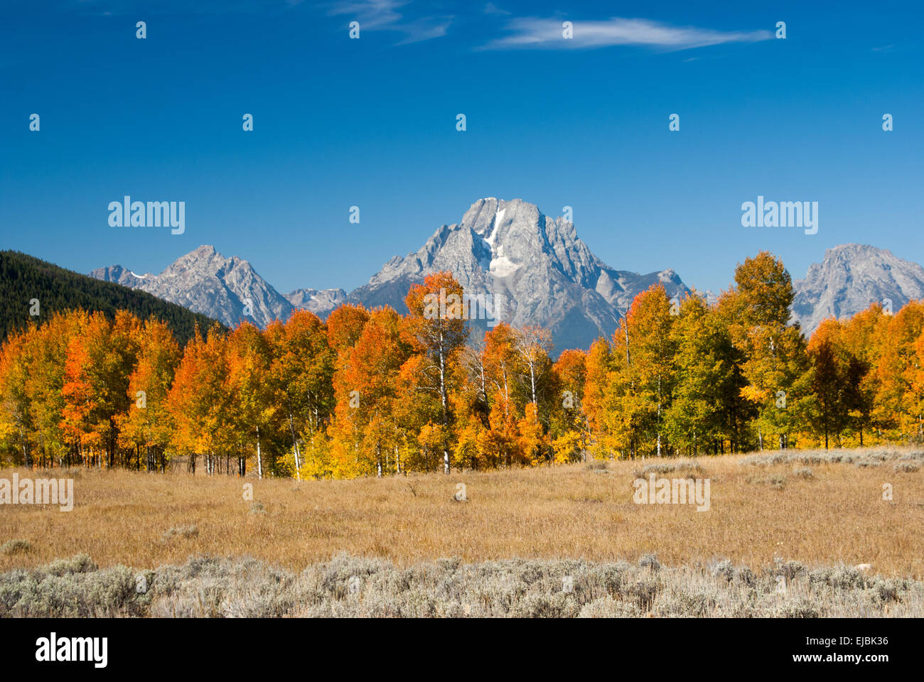 Grand tetons autumn fall hi res stock photography and images Alamy