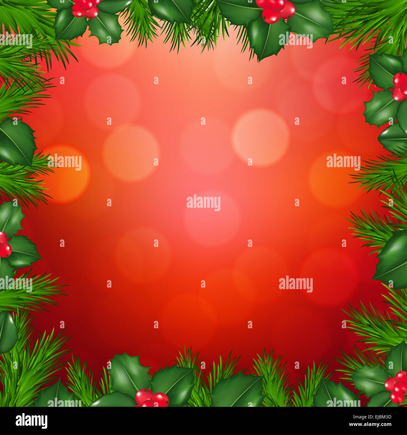 Xmas Fir Tree Border With Holly Berry Stock Photo - Alamy