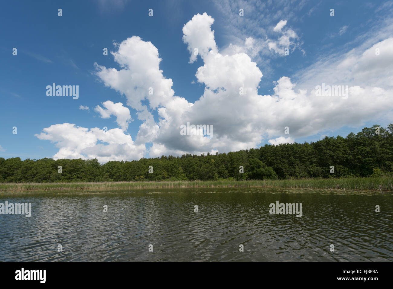 Lake with cloudy sky Stock Photo - Alamy