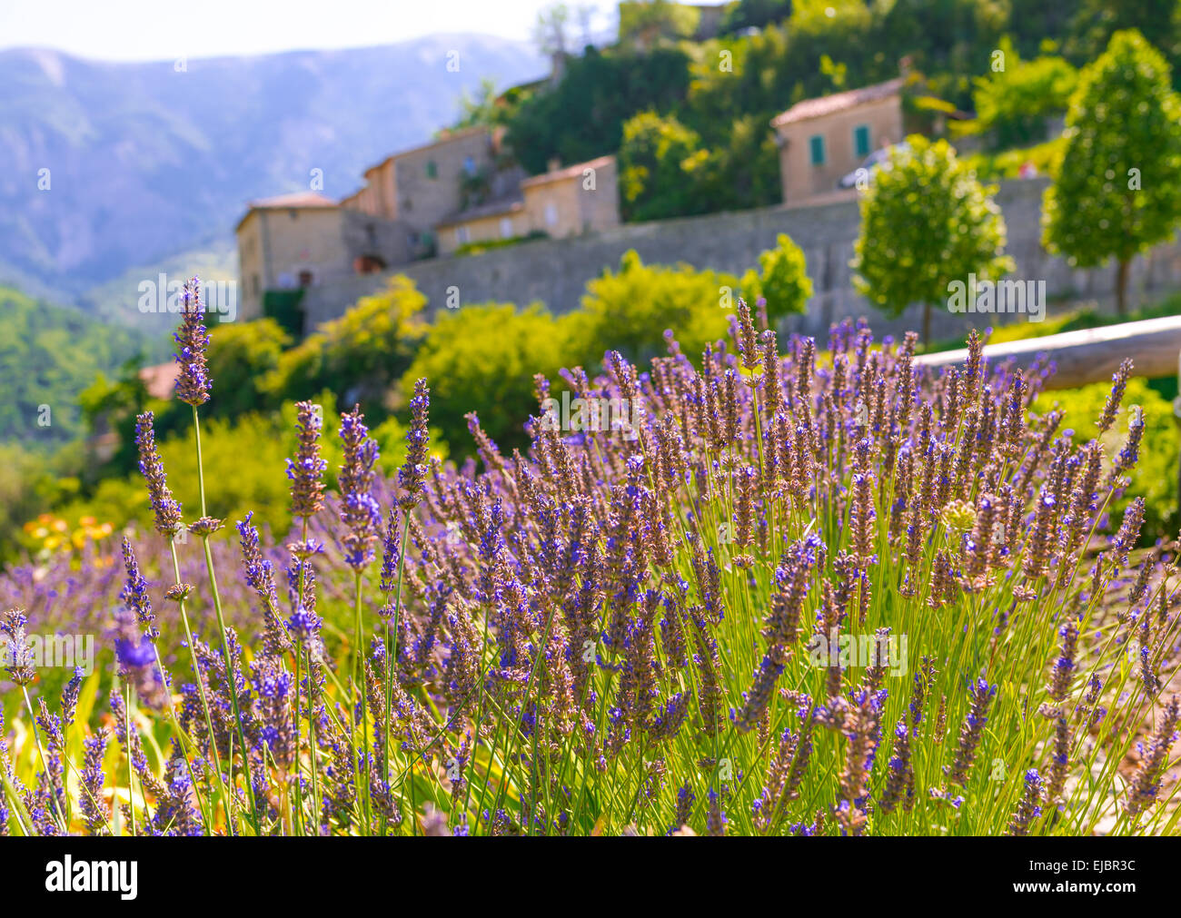 village in provence Stock Photo - Alamy
