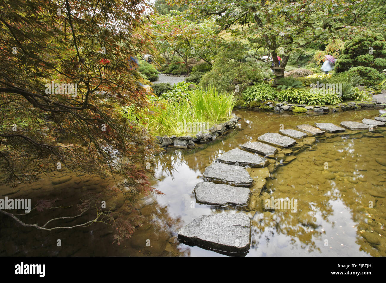 Japanese garden. A stream and  path Stock Photo